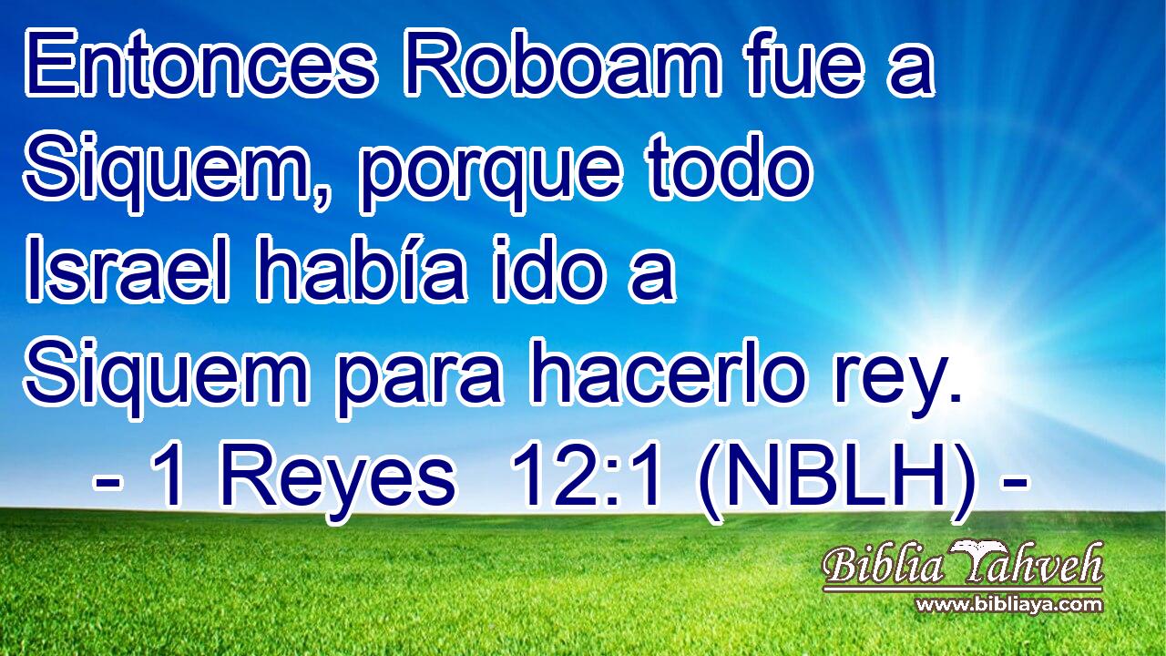  Entonces Roboam fue a Siquem, porque todo Israel había ido a Siquem para hacerlo rey. 