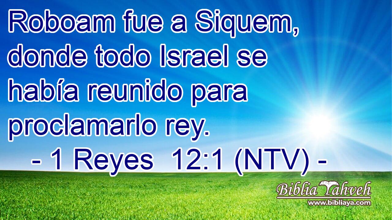 Roboam fue a Siquem, donde todo Israel se había reunido para proclamarlo rey.