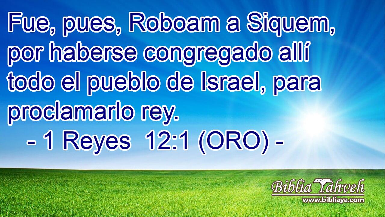  Fue, pues, Roboam a Siquem, por haberse congregado allí todo el pueblo de Israel, para proclamarlo rey. 