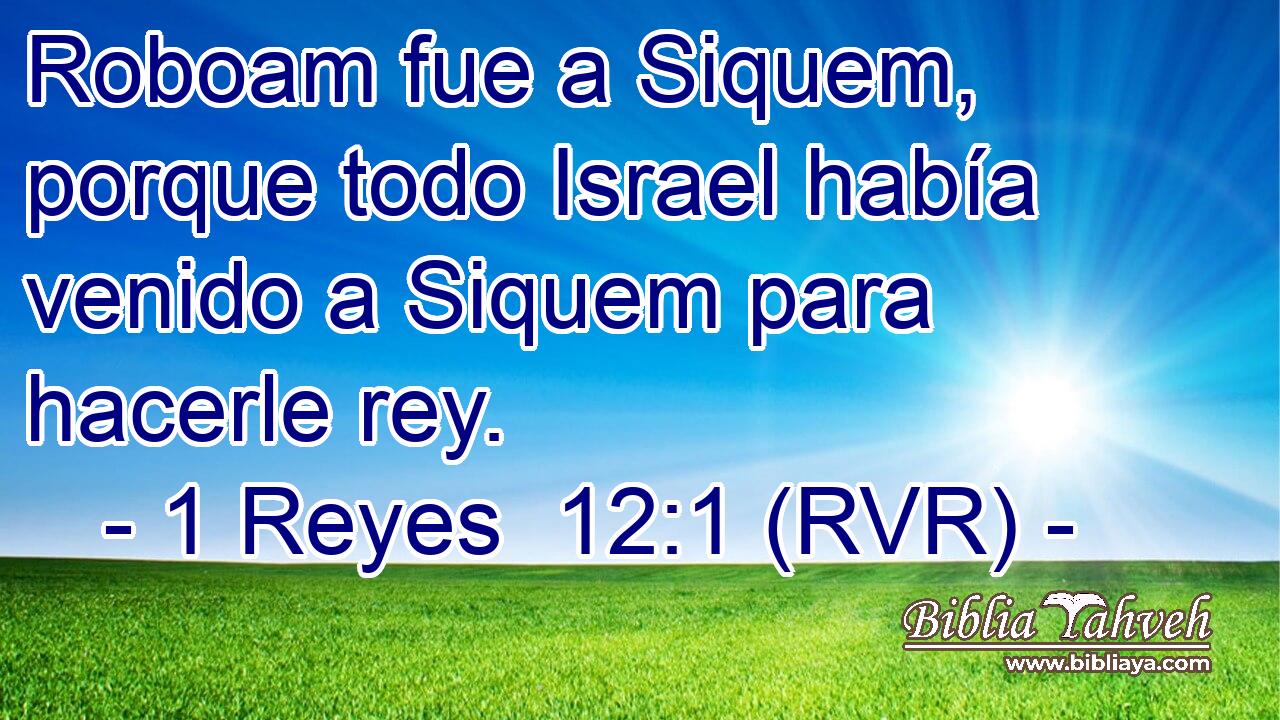Roboam fue a Siquem, porque todo Israel había venido a Siquem para hacerle rey.