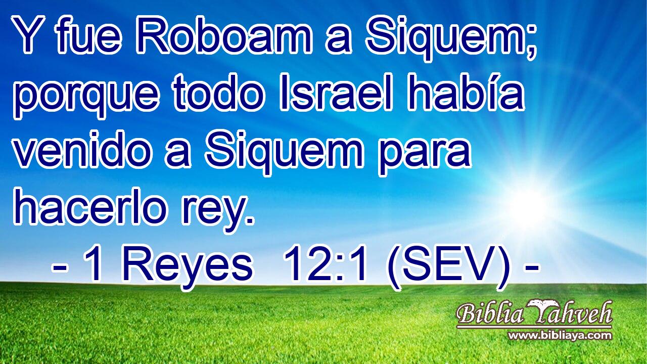 Y fue Roboam a Siquem; porque todo Israel había venido a Siquem para hacerlo rey.