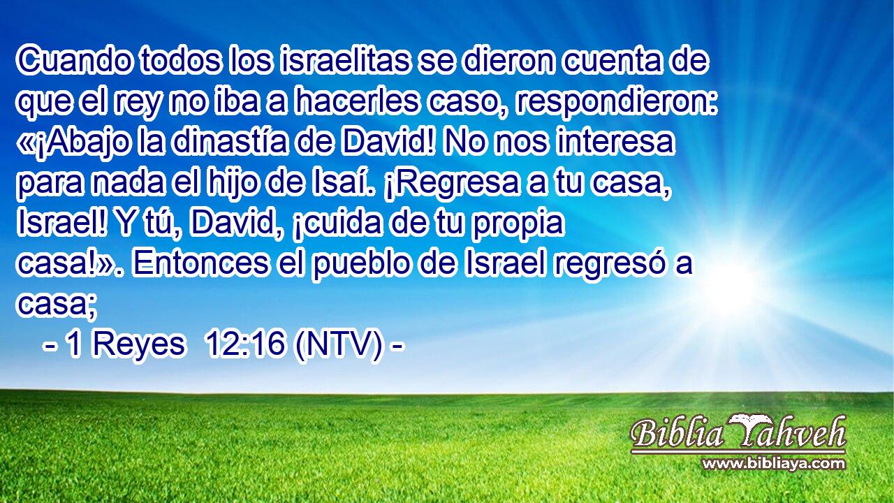 Cuando todos los israelitas se dieron cuenta de que el rey no iba a hacerles caso, respondieron: «¡Abajo la dinastía de David! No nos interesa para nada el hijo de Isaí. ¡Regresa a tu casa, Israel! Y tú, David, ¡cuida de tu propia casa!». Entonces el pueblo de Israel regresó a casa;