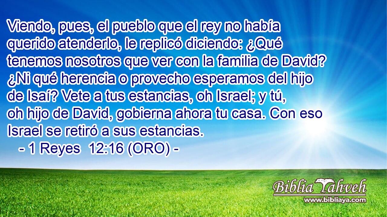  Viendo, pues, el pueblo que el rey no había querido atenderlo, le replicó diciendo: ¿Qué tenemos nosotros que ver con la familia de David? ¿Ni qué herencia o provecho esperamos del hijo de Isaí? Vete a tus estancias, oh Israel; y tú, oh hijo de David, gobierna ahora tu casa. Con eso Israel se retiró a sus estancias. 