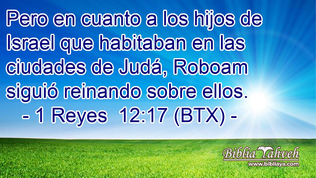 Pero en cuanto a los hijos de Israel que habitaban en las ciudades de Judá, Roboam siguió reinando sobre ellos.