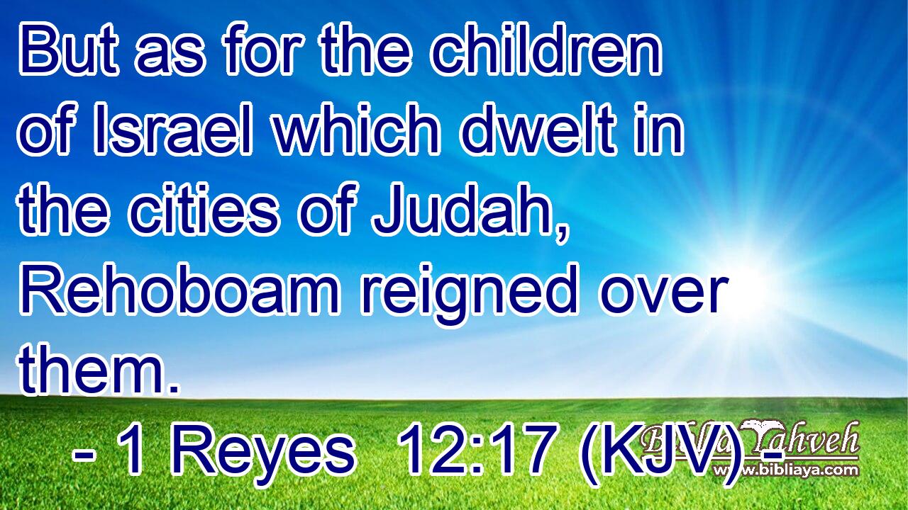 But as for the children of Israel which dwelt in the cities of Judah, Rehoboam reigned over them.