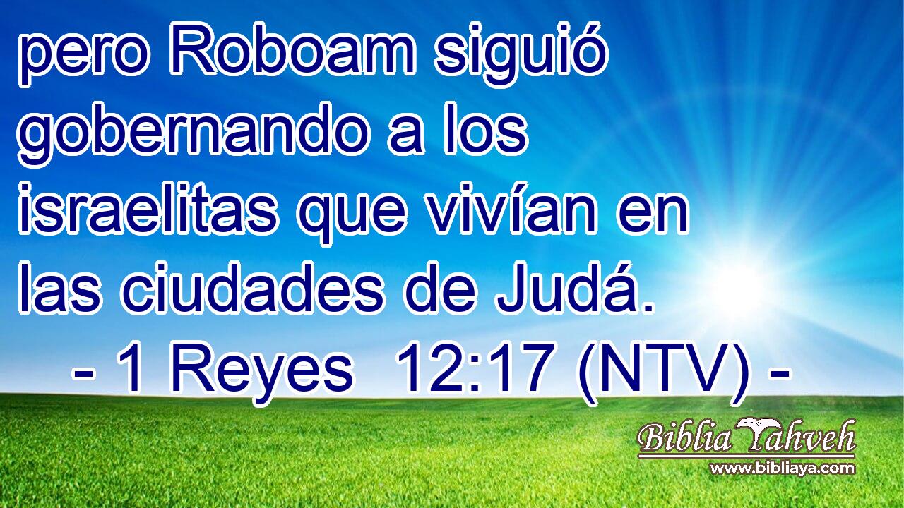 pero Roboam siguió gobernando a los israelitas que vivían en las ciudades de Judá.