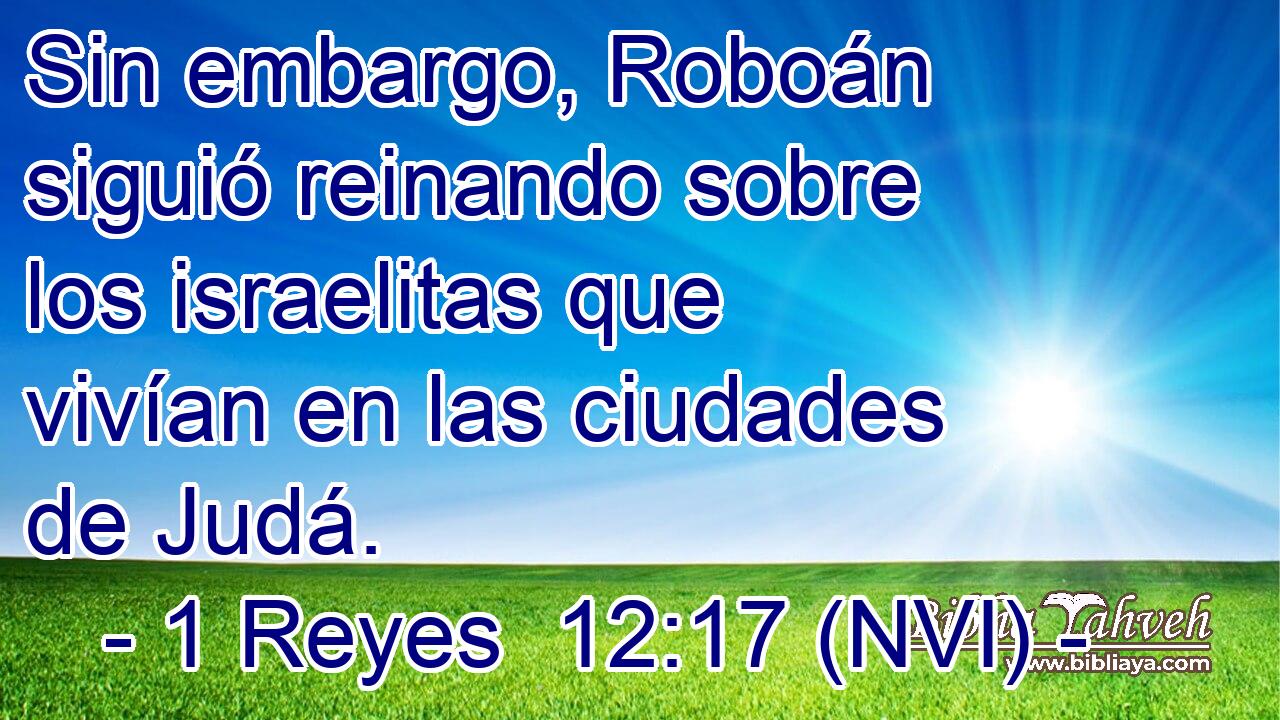  Sin embargo, Roboán siguió reinando sobre los israelitas que vivían en las ciudades de Judá. 