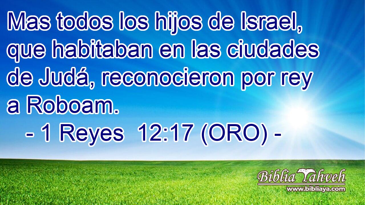  Mas todos los hijos de Israel, que habitaban en las ciudades de Judá, reconocieron por rey a Roboam. 