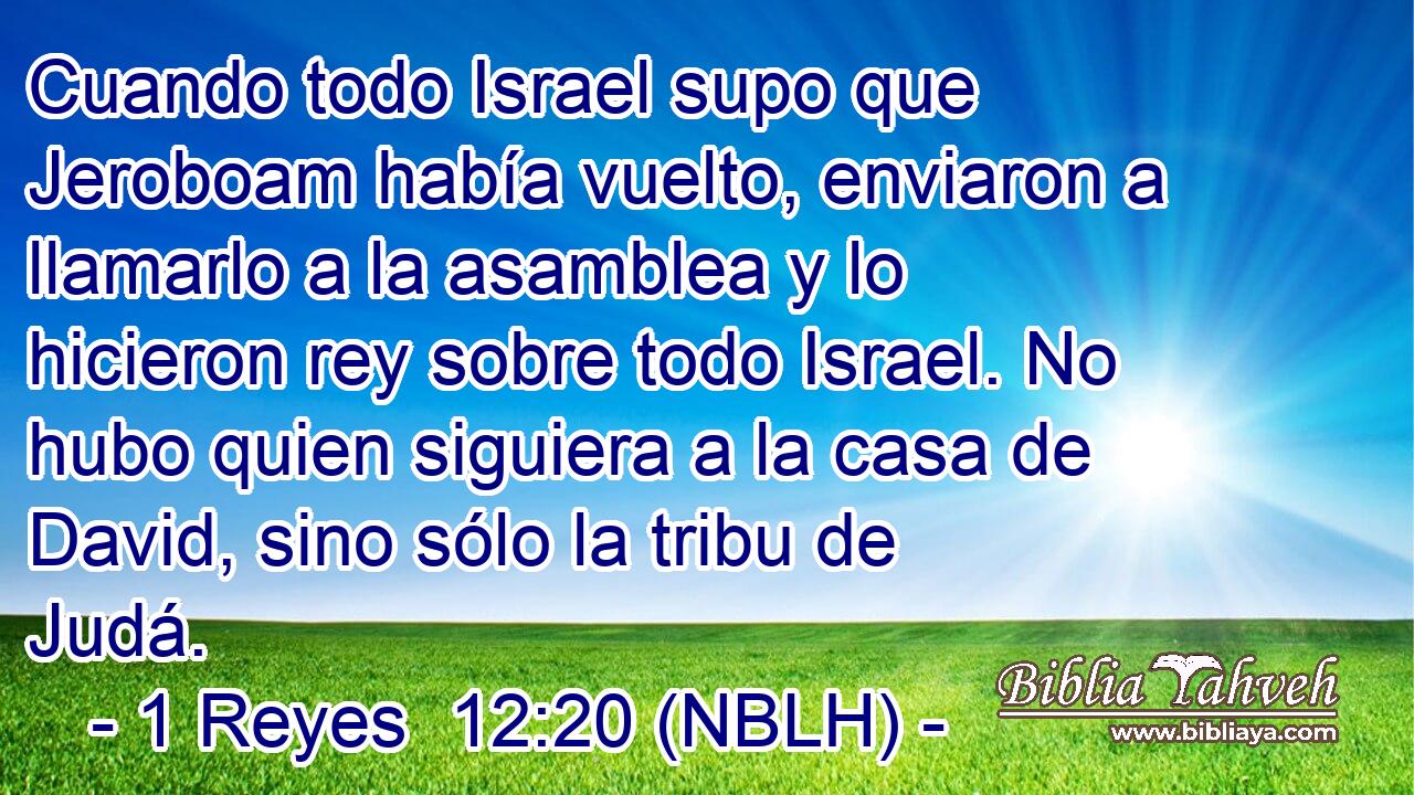  Cuando todo Israel supo que Jeroboam había vuelto, enviaron a llamarlo a la asamblea y lo hicieron rey sobre todo Israel. No hubo quien siguiera a la casa de David, sino sólo la tribu de Judá. 