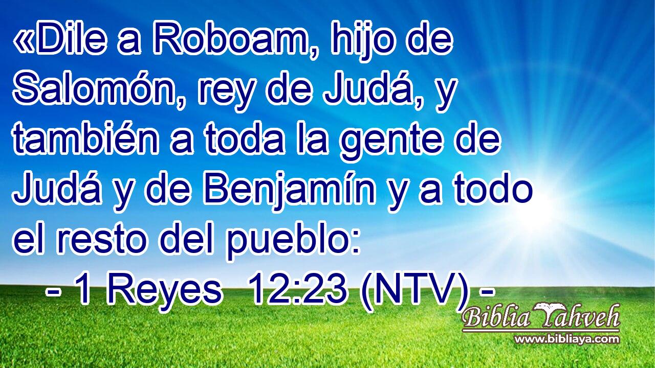 «Dile a Roboam, hijo de Salomón, rey de Judá, y también a toda la gente de Judá y de Benjamín y a todo el resto del pueblo:
