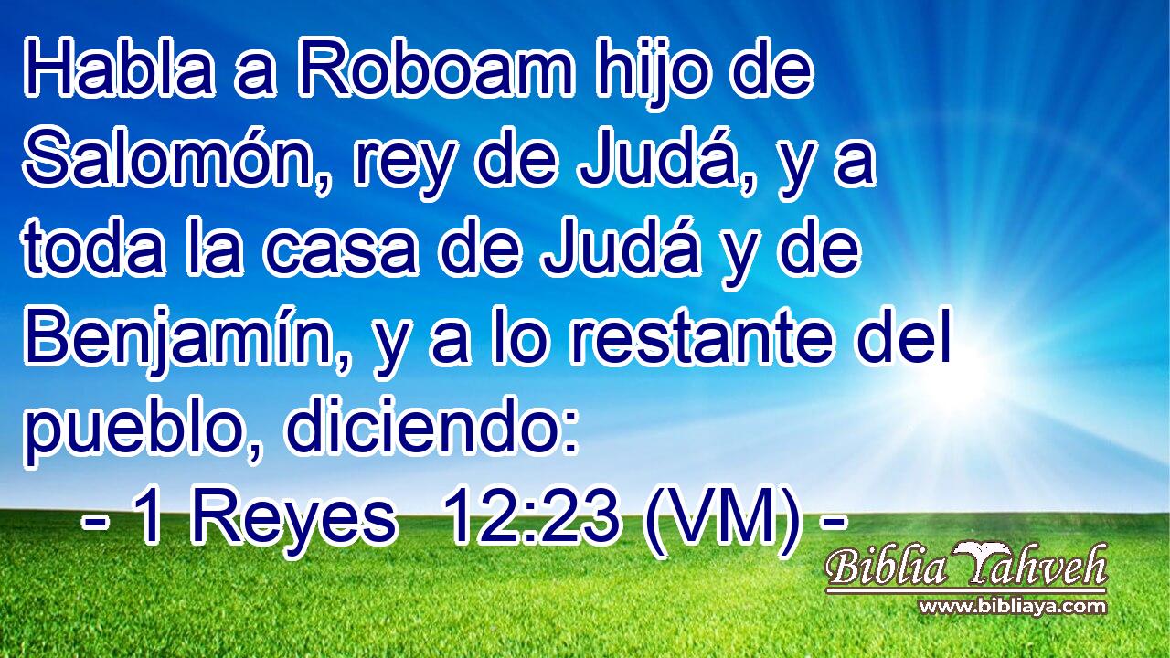  Habla a Roboam hijo de Salomón, rey de Judá, y a toda la casa de Judá y de Benjamín, y a lo restante del pueblo, diciendo: 