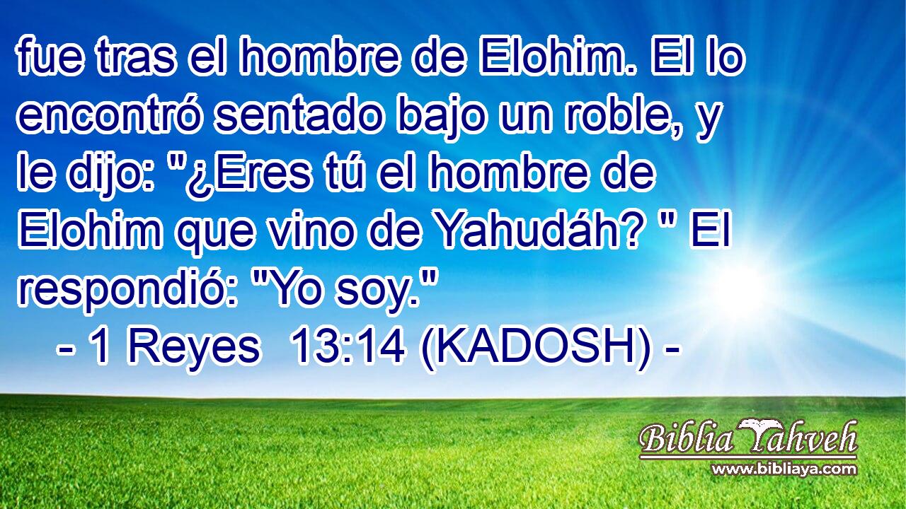  fue tras el hombre de Elohim. El lo encontró sentado bajo un roble, y le dijo: 