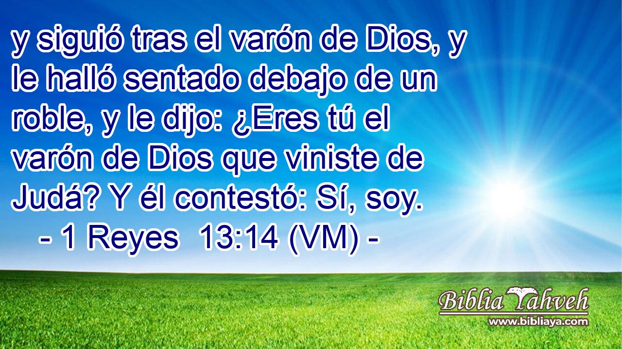  y siguió tras el varón de Dios, y le halló sentado debajo de un roble, y le dijo: ¿Eres tú el varón de Dios que viniste de Judá? Y él contestó: Sí, soy. 