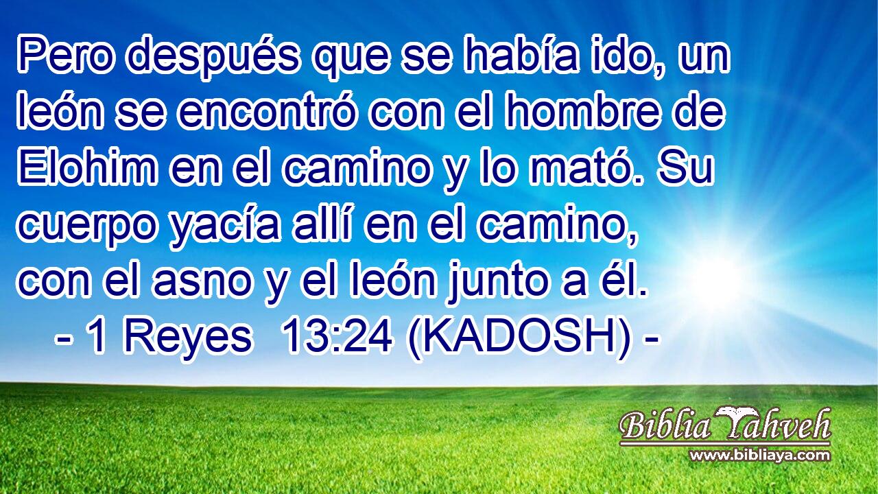  Pero después que se había ido, un león se encontró con el hombre de Elohim en el camino y lo mató. Su cuerpo yacía allí en el camino, con el asno y el león junto a él. 