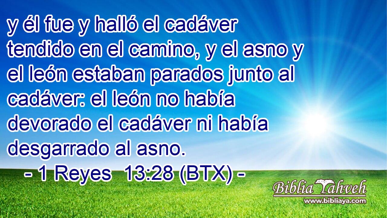 y él fue y halló el cadáver tendido en el camino, y el asno y el león estaban parados junto al cadáver: el león no había devorado el cadáver ni había desgarrado al asno.