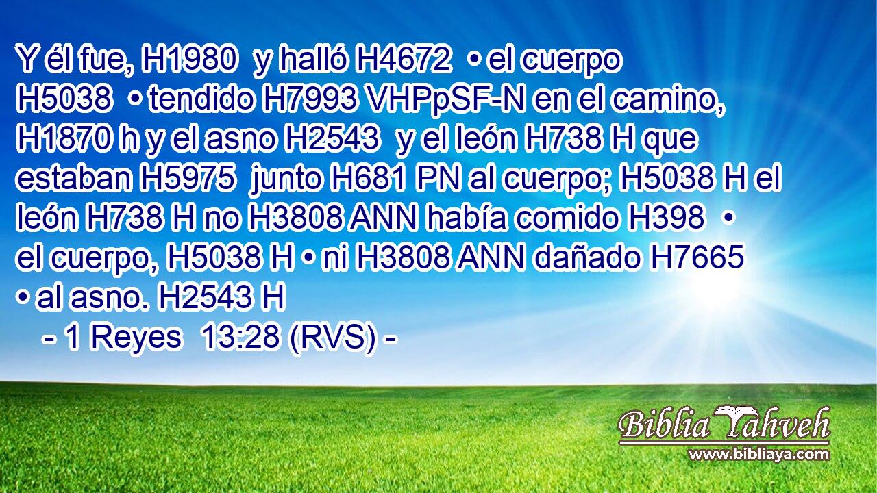 Y él fue, H1980  y halló H4672  • el cuerpo H5038  • tendido H7993 VHPpSF-N en el camino, H1870 h y el asno H2543  y el león H738 H que estaban H5975  junto H681 PN al cuerpo; H5038 H el león H738 H no H3808 ANN había comido H398  • el cuerpo, H5038 H • ni H3808 ANN dañado H7665  • al asno. H2543 H 