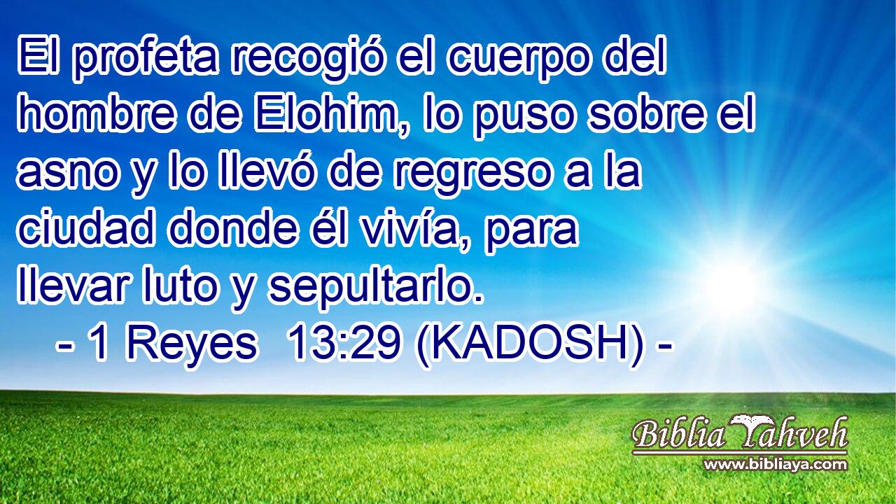  El profeta recogió el cuerpo del hombre de Elohim, lo puso sobre el asno y lo llevó de regreso a la ciudad donde él vivía, para llevar luto y sepultarlo. 