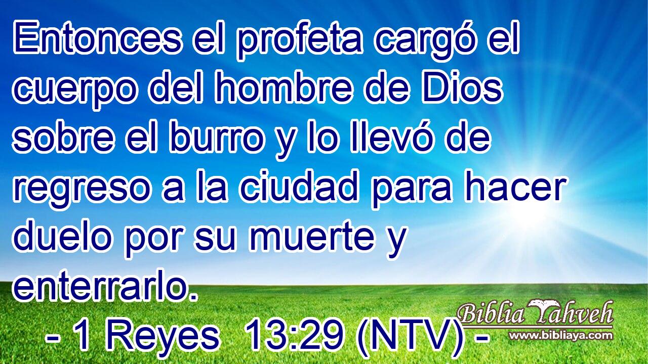 Entonces el profeta cargó el cuerpo del hombre de Dios sobre el burro y lo llevó de regreso a la ciudad para hacer duelo por su muerte y enterrarlo.