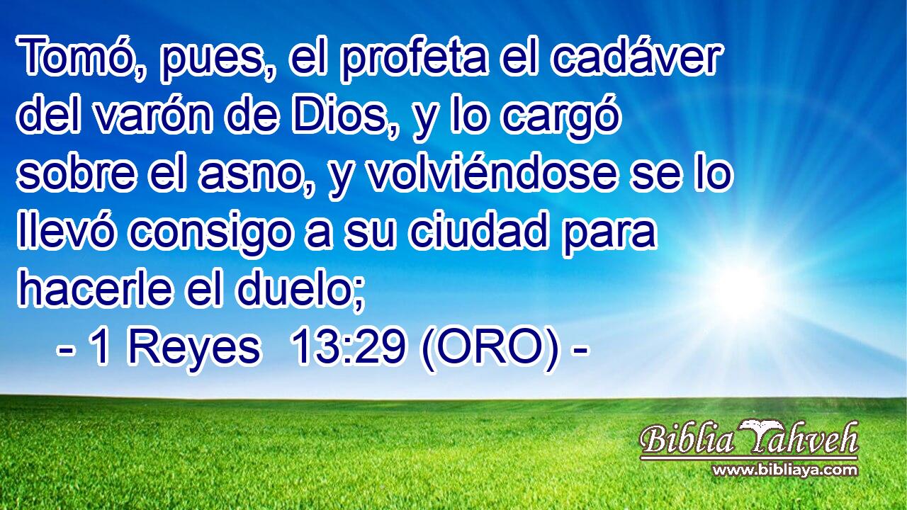  Tomó, pues, el profeta el cadáver del varón de Dios, y lo cargó sobre el asno, y volviéndose se lo llevó consigo a su ciudad para hacerle el duelo; 