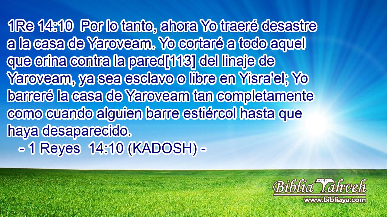  Por lo tanto, ahora Yo traeré desastre a la casa de Yaroveam. Yo cortaré a todo aquel que orina contra la pared[113] del linaje de Yaroveam, ya sea esclavo o libre en Yisra'el; Yo barreré la casa de Yaroveam tan completamente como cuando alguien barre estiércol hasta que haya desaparecido. 