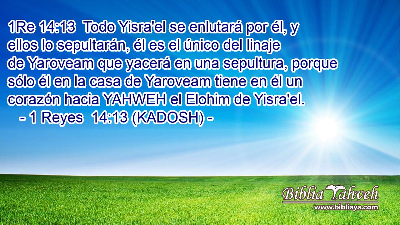  Todo Yisra'el se enlutará por él, y ellos lo sepultarán, él es el único del linaje de Yaroveam que yacerá en una sepultura, porque sólo él en la casa de Yaroveam tiene en él un corazón hacia YAHWEH el Elohim de Yisra'el. 