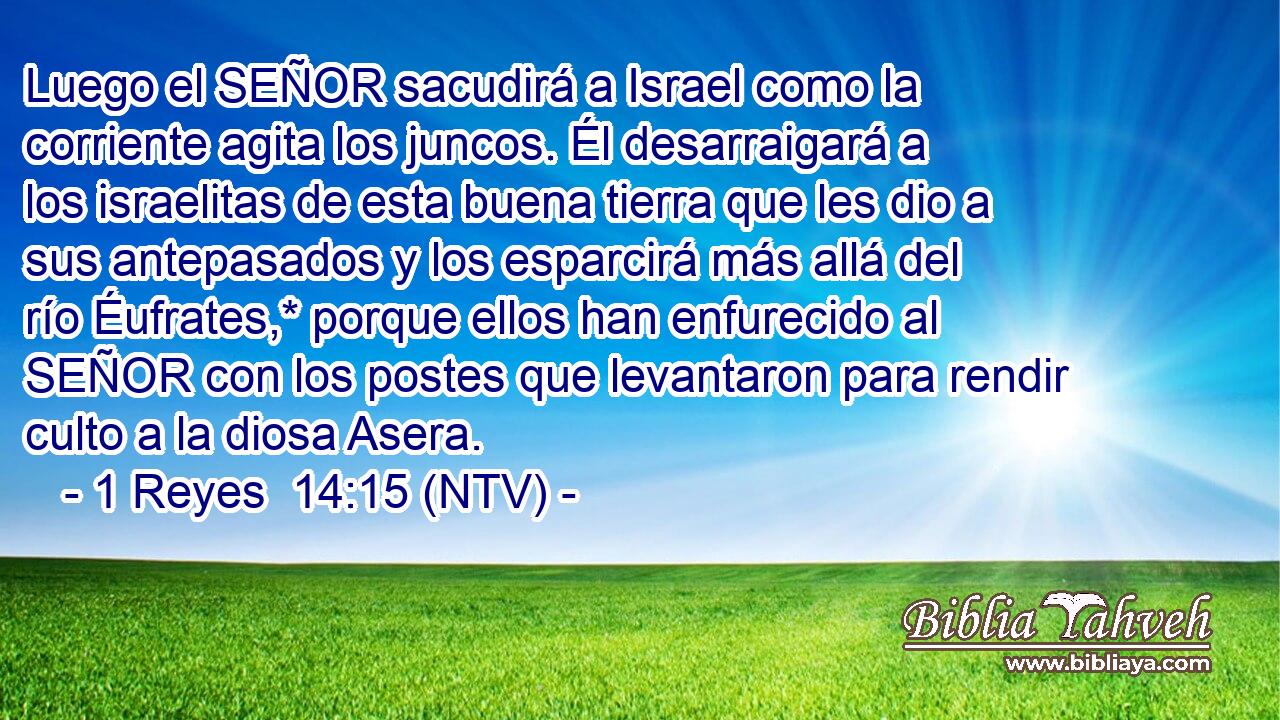 Luego el SEÑOR sacudirá a Israel como la corriente agita los juncos. Él desarraigará a los israelitas de esta buena tierra que les dio a sus antepasados y los esparcirá más allá del río Éufrates,* porque ellos han enfurecido al SEÑOR con los postes que levantaron para rendir culto a la diosa Asera.