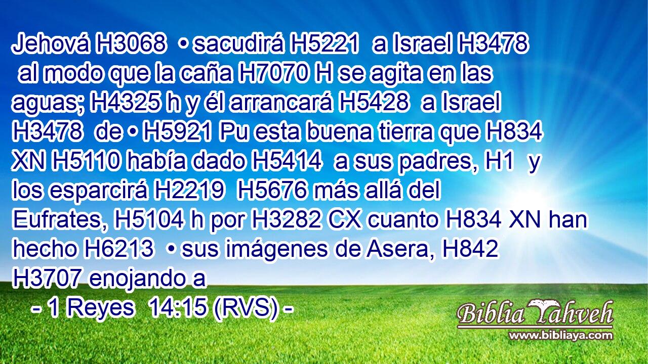 Jehová H3068  • sacudirá H5221  a Israel H3478  al modo que la caña H7070 H se agita en las aguas; H4325 h y él arrancará H5428  a Israel H3478  de • H5921 Pu esta buena tierra que H834 XN H5110 había dado H5414  a sus padres, H1  y los esparcirá H2219  H5676 más allá del Eufrates, H5104 h por H3282 CX cuanto H834 XN han hecho H6213  • sus imágenes de Asera, H842  H3707 enojando a