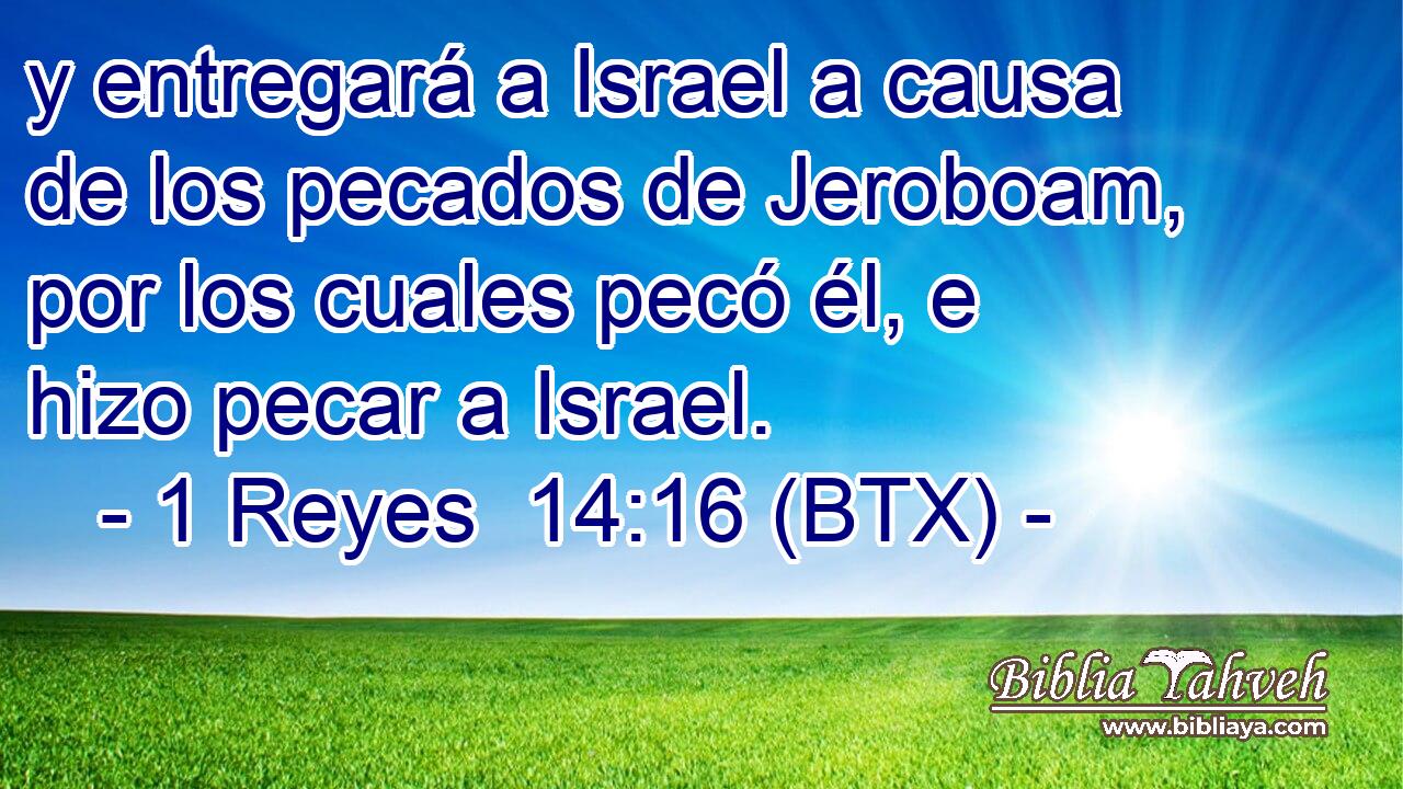 y entregará a Israel a causa de los pecados de Jeroboam, por los cuales pecó él, e hizo pecar a Israel.