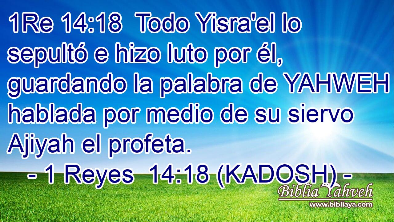  Todo Yisra'el lo sepultó e hizo luto por él, guardando la palabra de YAHWEH hablada por medio de su siervo Ajiyah el profeta. 