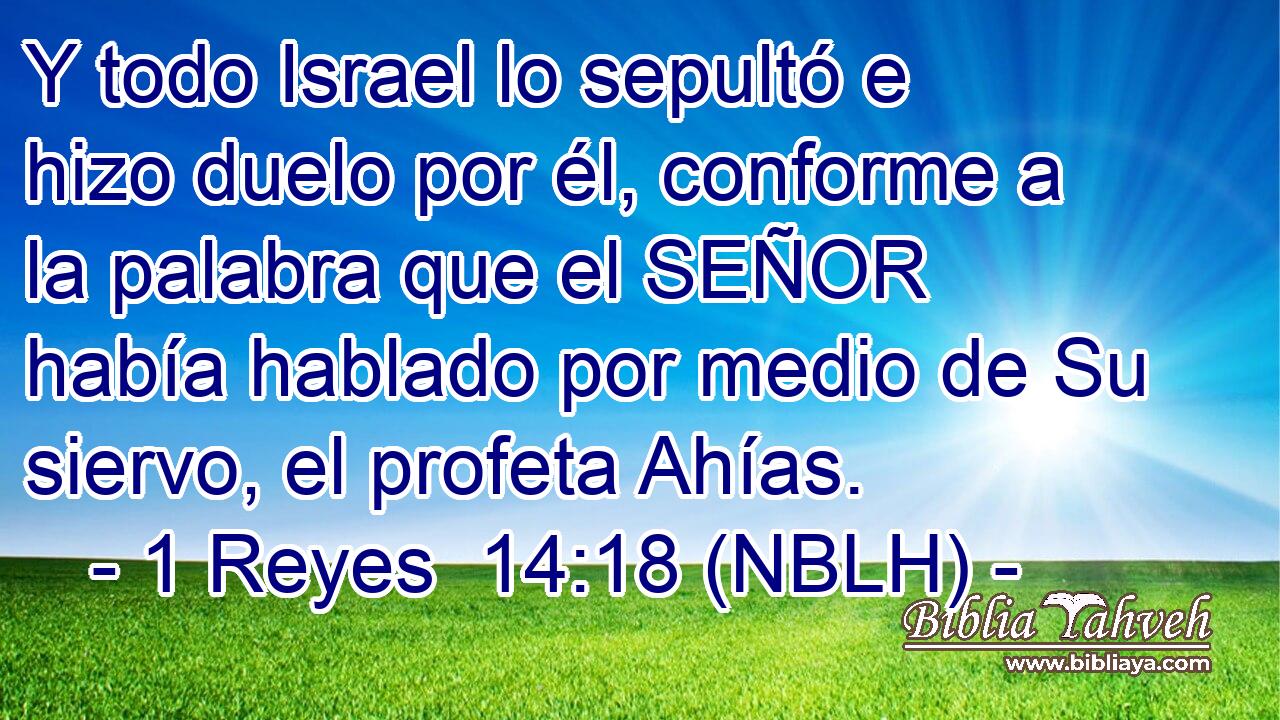  Y todo Israel lo sepultó e hizo duelo por él, conforme a la palabra que el SEÑOR había hablado por medio de Su siervo, el profeta Ahías. 