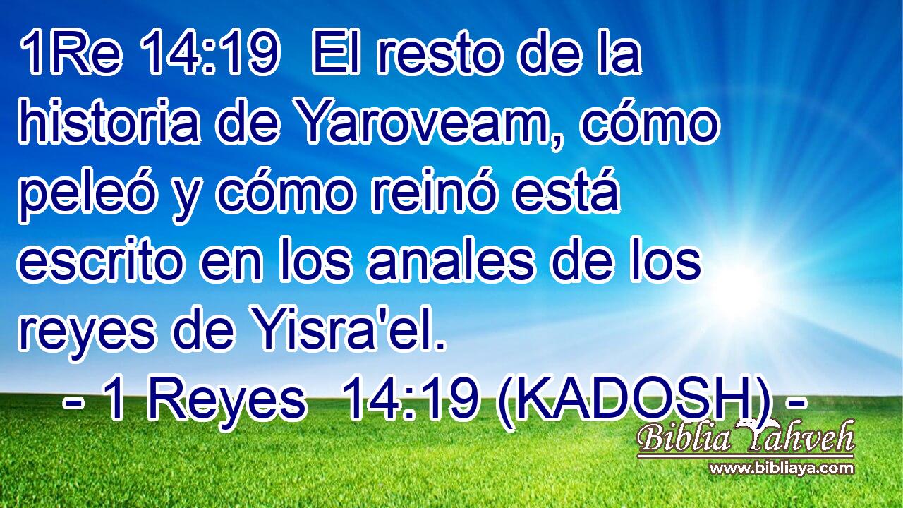  El resto de la historia de Yaroveam, cómo peleó y cómo reinó está escrito en los anales de los reyes de Yisra'el. 