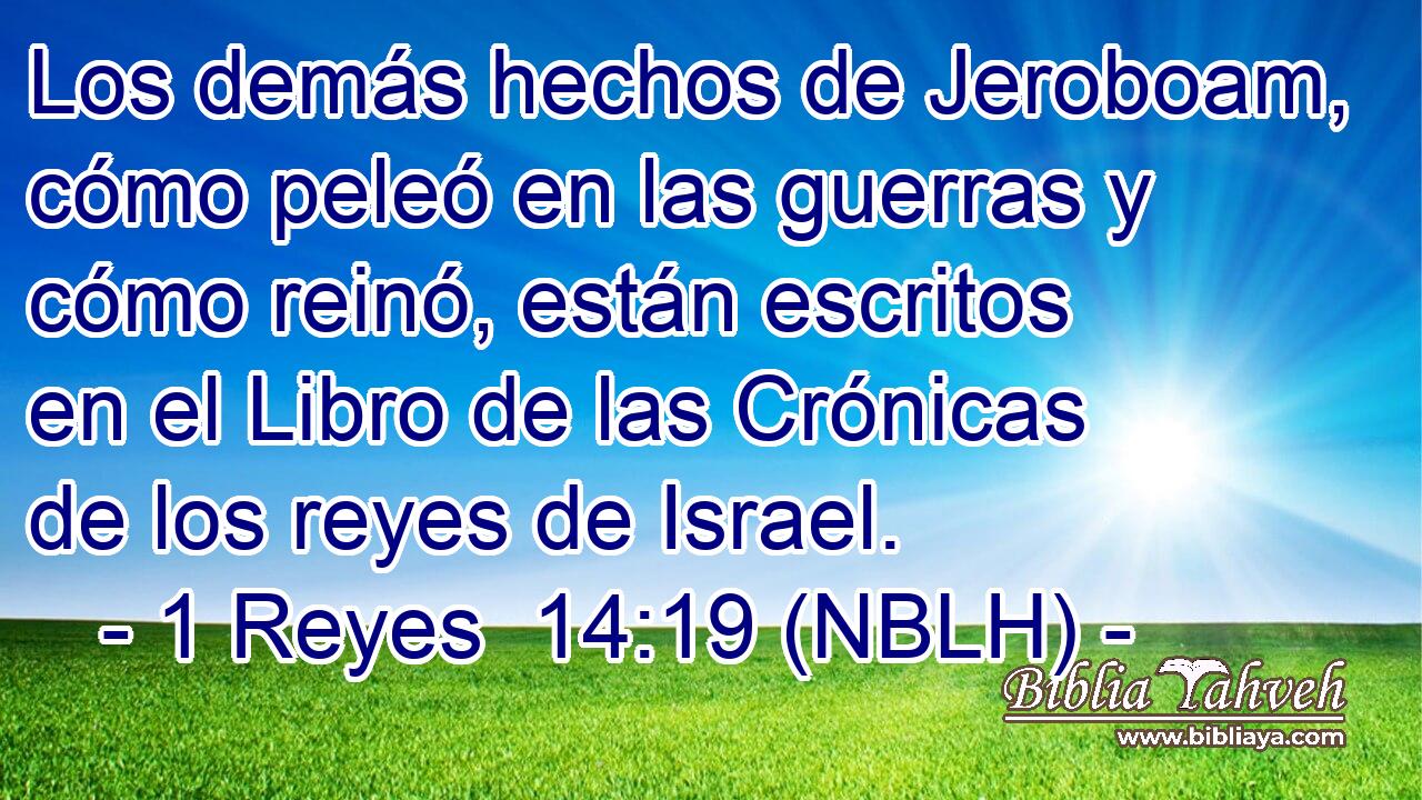  Los demás hechos de Jeroboam, cómo peleó en las guerras y cómo reinó, están escritos en el Libro de las Crónicas de los reyes de Israel. 