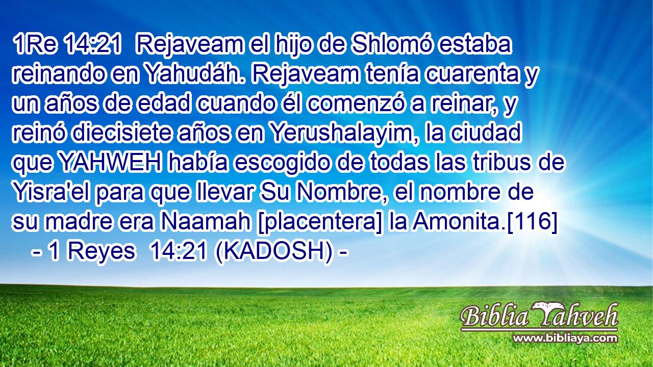  Rejaveam el hijo de Shlomó estaba reinando en Yahudáh. Rejaveam tenía cuarenta y un años de edad cuando él comenzó a reinar, y reinó diecisiete años en Yerushalayim, la ciudad que YAHWEH había escogido de todas las tribus de Yisra'el para que llevar Su Nombre, el nombre de su madre era Naamah [placentera] la Amonita.[116] 