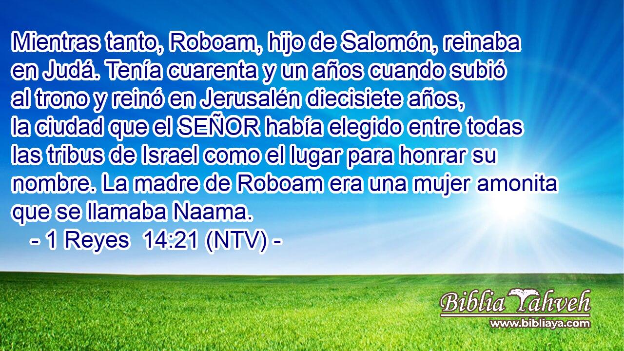 Mientras tanto, Roboam, hijo de Salomón, reinaba en Judá. Tenía cuarenta y un años cuando subió al trono y reinó en Jerusalén diecisiete años, la ciudad que el SEÑOR había elegido entre todas las tribus de Israel como el lugar para honrar su nombre. La madre de Roboam era una mujer amonita que se llamaba Naama.