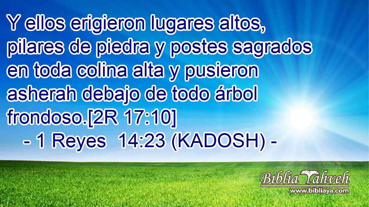 Y ellos erigieron lugares altos, pilares de piedra y postes sagrados en toda colina alta y pusieron asherah debajo de todo árbol frondoso.[2R 17:10] 