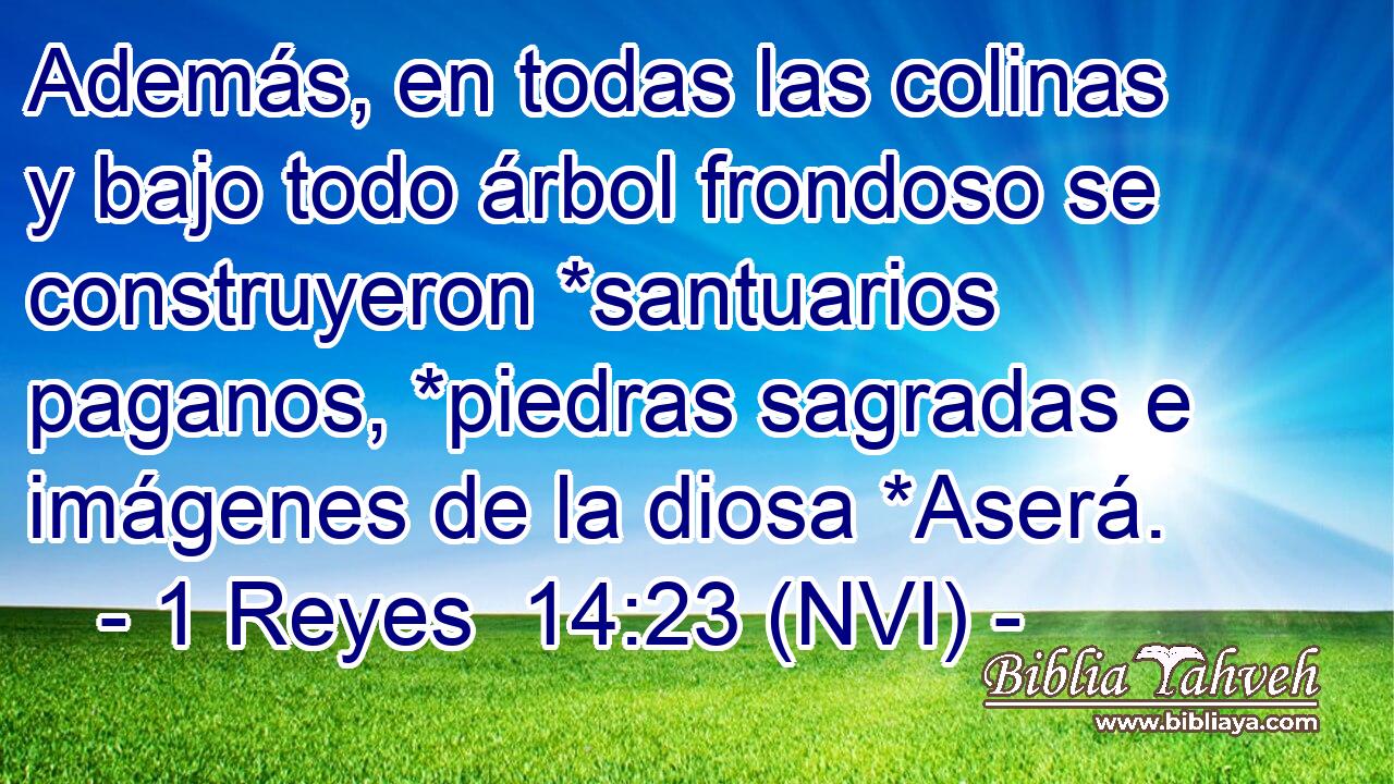  Además, en todas las colinas y bajo todo árbol frondoso se construyeron *santuarios paganos, *piedras sagradas e imágenes de la diosa *Aserá. 