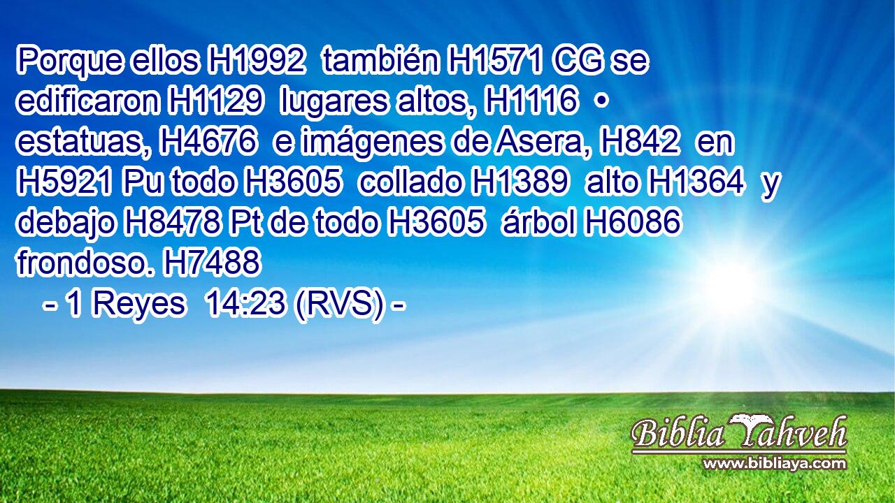 Porque ellos H1992  también H1571 CG se edificaron H1129  lugares altos, H1116  • estatuas, H4676  e imágenes de Asera, H842  en H5921 Pu todo H3605  collado H1389  alto H1364  y debajo H8478 Pt de todo H3605  árbol H6086  frondoso. H7488  