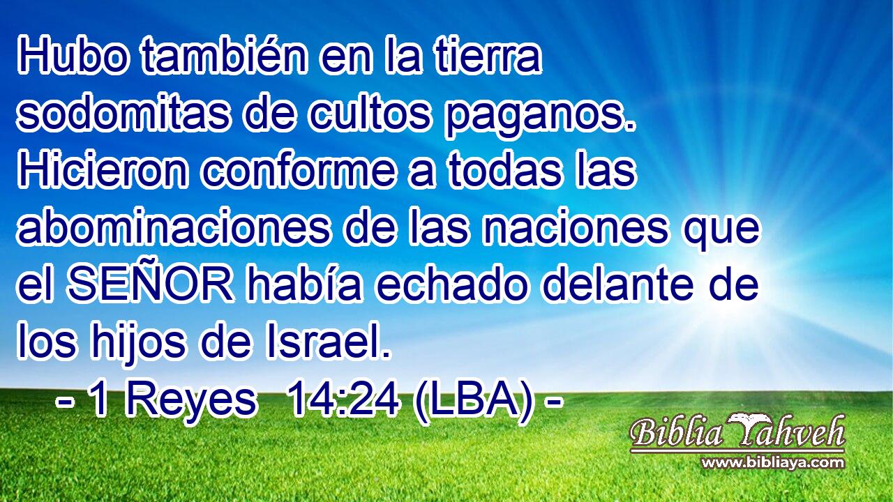 Hubo también en la tierra sodomitas de cultos paganos. Hicieron conforme a todas las abominaciones de las naciones que el SEÑOR había echado delante de los hijos de Israel.