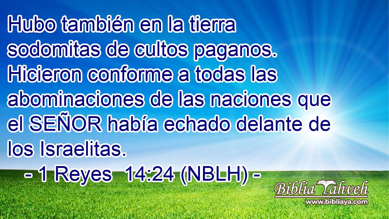  Hubo también en la tierra sodomitas de cultos paganos. Hicieron conforme a todas las abominaciones de las naciones que el SEÑOR había echado delante de los Israelitas. 