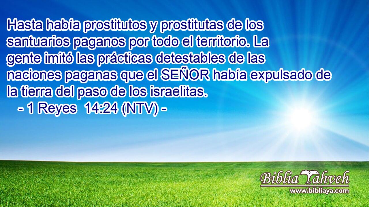 Hasta había prostitutos y prostitutas de los santuarios paganos por todo el territorio. La gente imitó las prácticas detestables de las naciones paganas que el SEÑOR había expulsado de la tierra del paso de los israelitas.