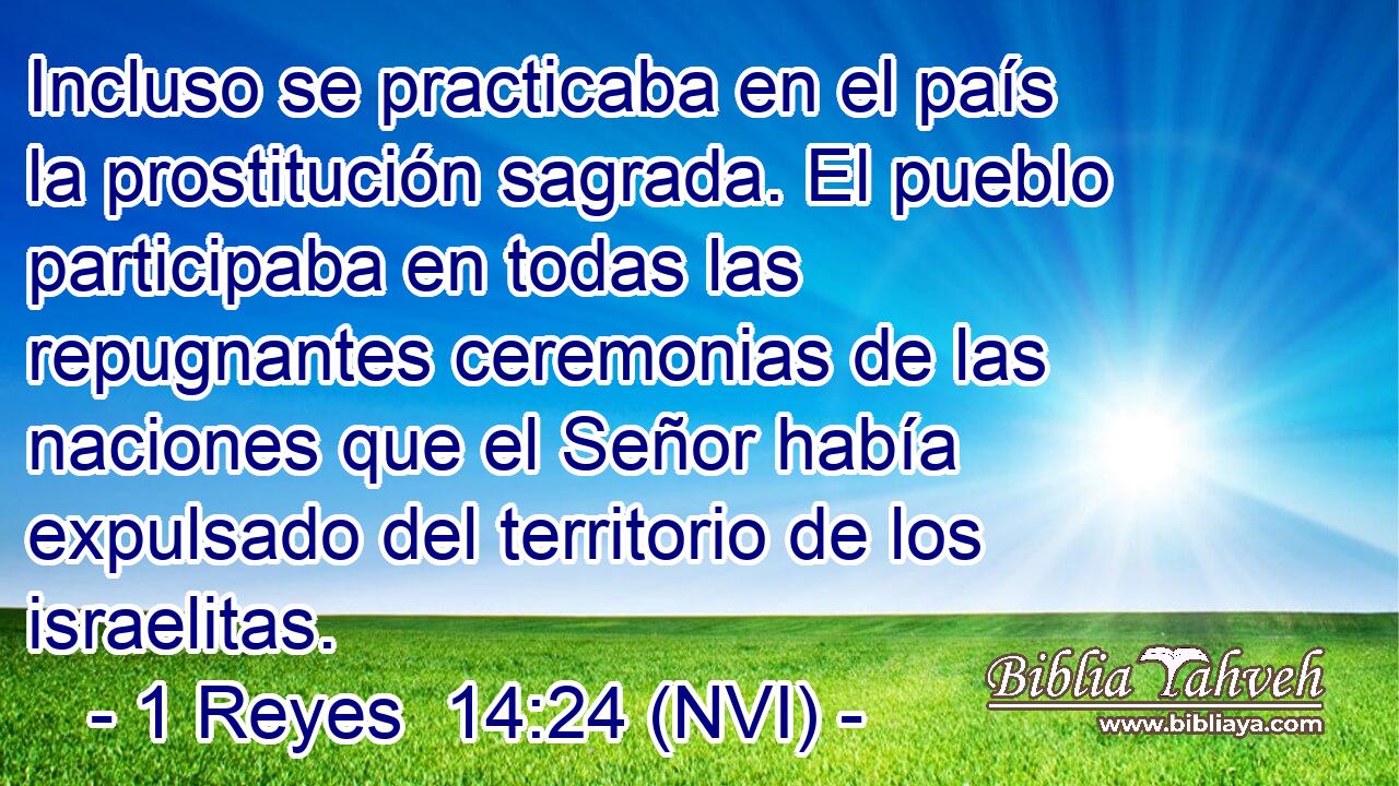  Incluso se practicaba en el país la prostitución sagrada. El pueblo participaba en todas las repugnantes ceremonias de las naciones que el Señor había expulsado del territorio de los israelitas. 