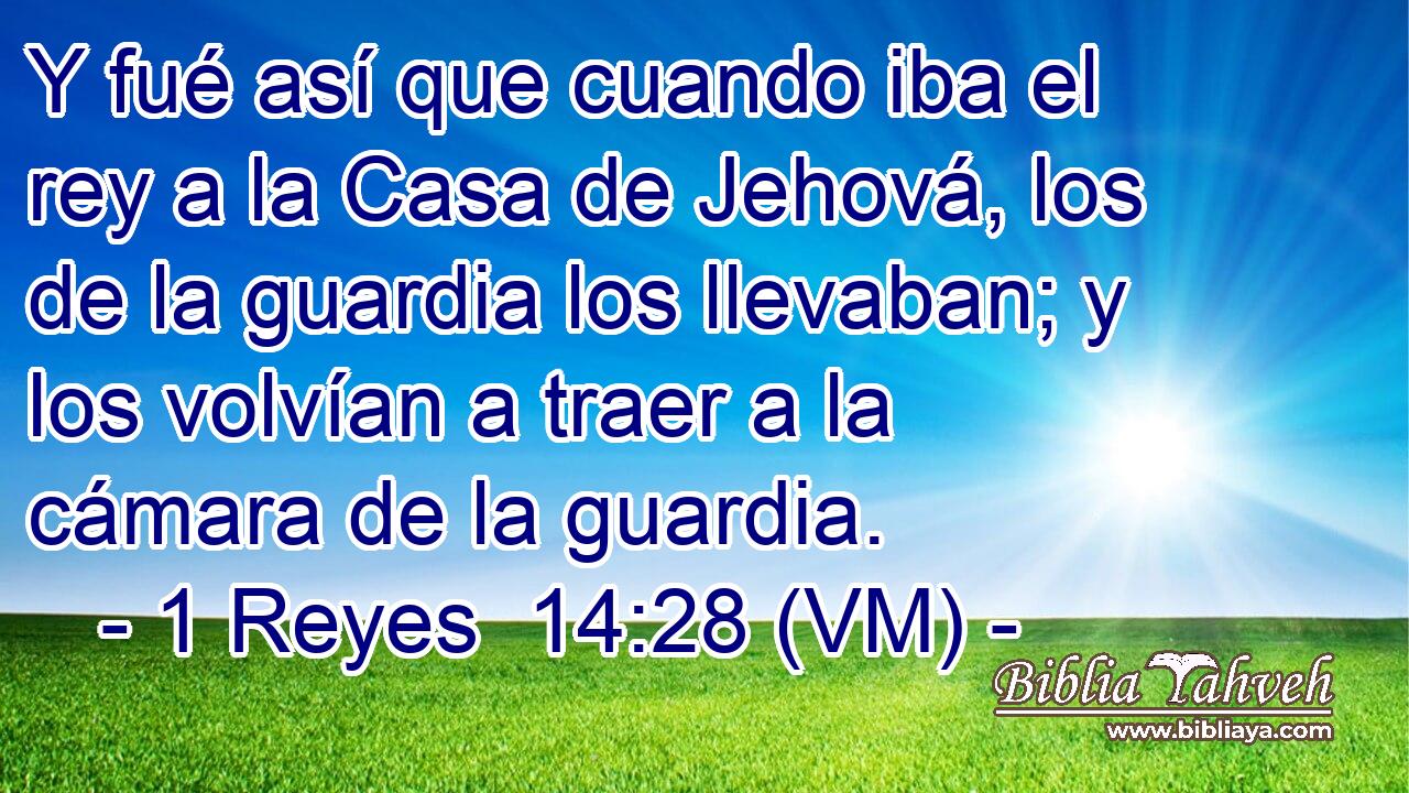 Y fué así que cuando iba el rey a la Casa de Jehová, los de la guardia los llevaban; y los volvían a traer a la cámara de la guardia. 