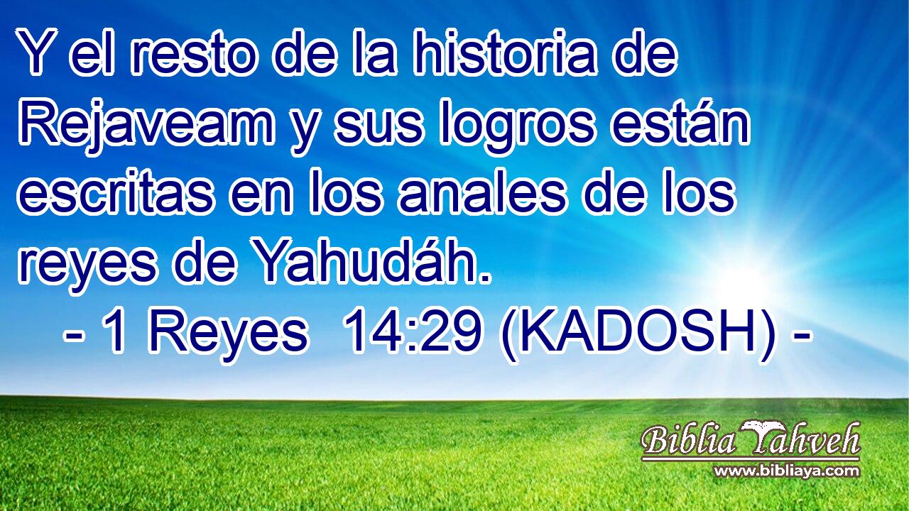  Y el resto de la historia de Rejaveam y sus logros están escritas en los anales de los reyes de Yahudáh. 