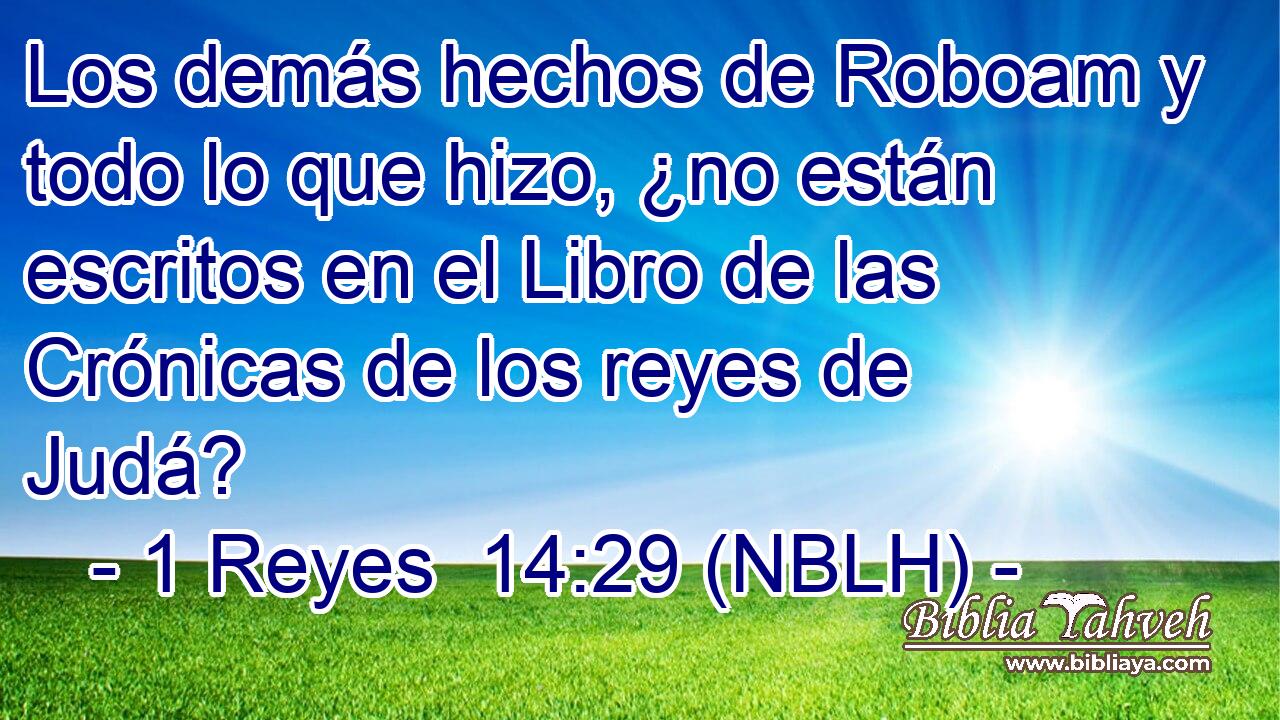  Los demás hechos de Roboam y todo lo que hizo, ¿no están escritos en el Libro de las Crónicas de los reyes de Judá? 