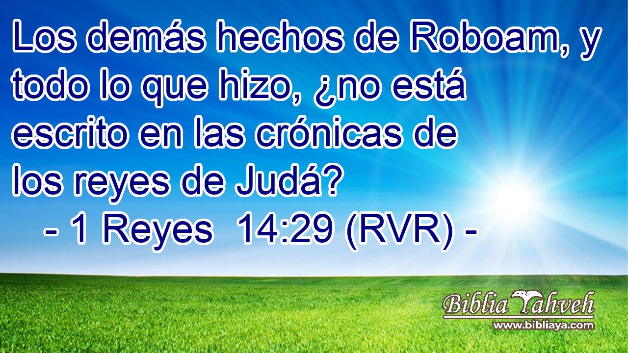 Los demás hechos de Roboam, y todo lo que hizo, ¿no está escrito en las crónicas de los reyes de Judá?