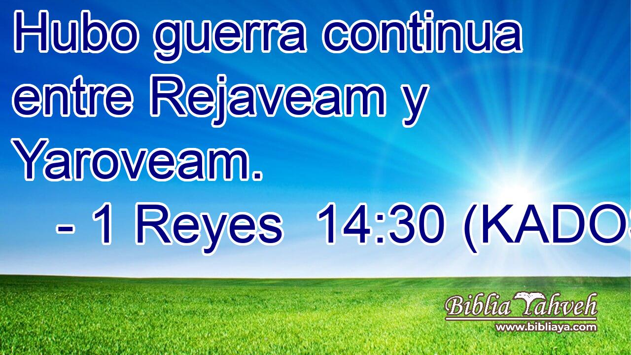  Hubo guerra continua entre Rejaveam y Yaroveam. 