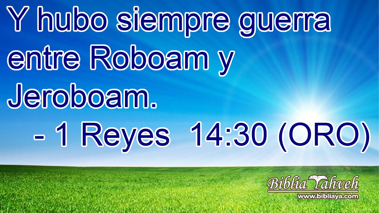  Y hubo siempre guerra entre Roboam y Jeroboam. 