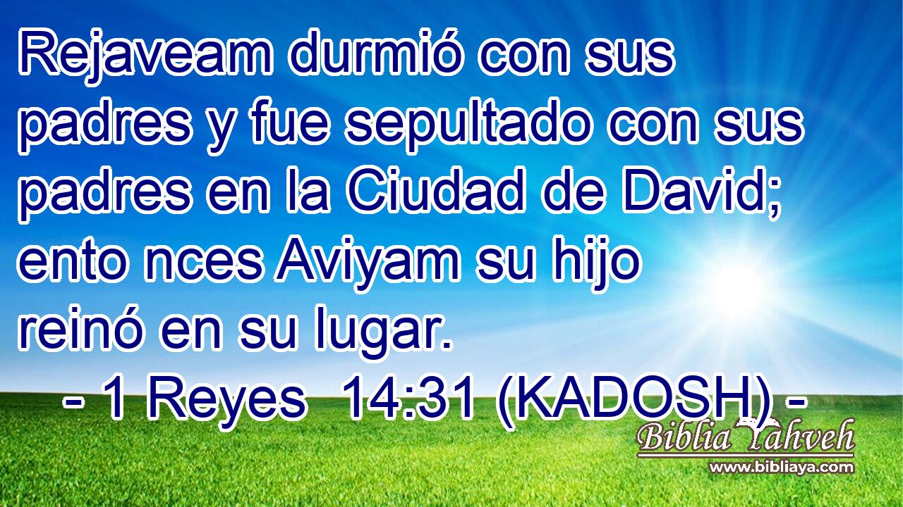  Rejaveam durmió con sus padres y fue sepultado con sus padres en la Ciudad de David; ento nces Aviyam su hijo reinó en su lugar. 