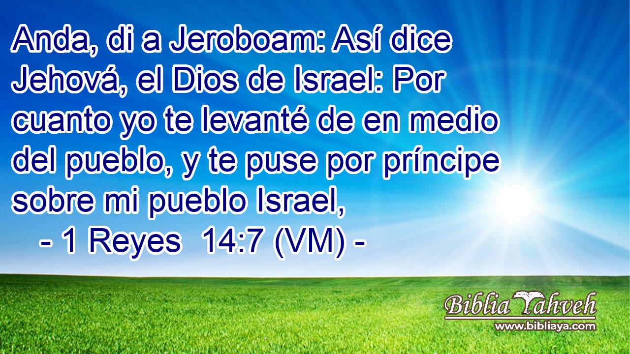  Anda, di a Jeroboam: Así dice Jehová, el Dios de Israel: Por cuanto yo te levanté de en medio del pueblo, y te puse por príncipe sobre mi pueblo Israel, 