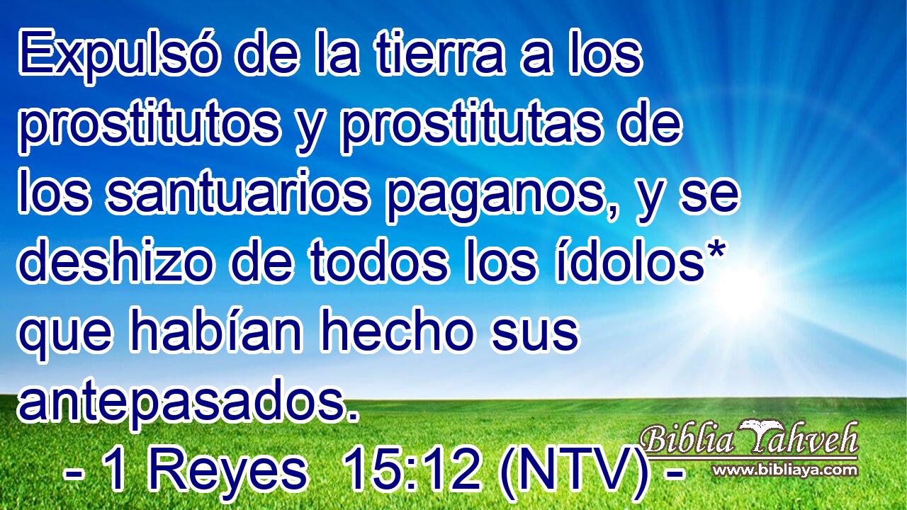Expulsó de la tierra a los prostitutos y prostitutas de los santuarios paganos, y se deshizo de todos los ídolos* que habían hecho sus antepasados.